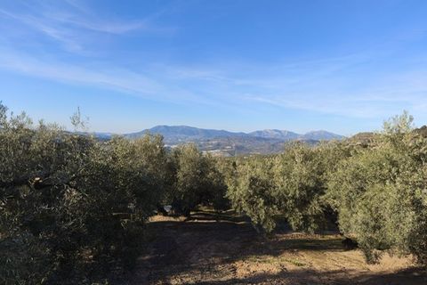 Landejendom i Iznajar, Cordoba, Iznajar - € 88.950 | Ref: ID4426 - foto 10